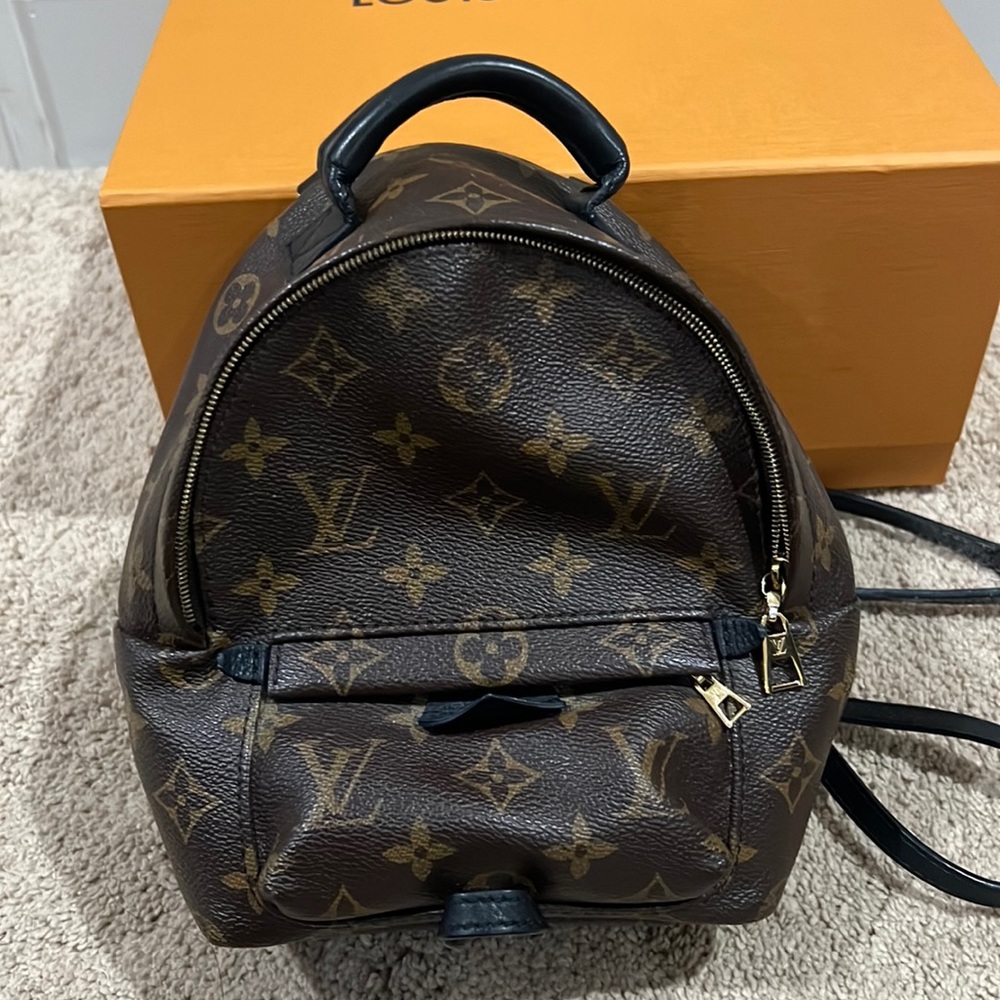 Louis Vuitton Palm Springs